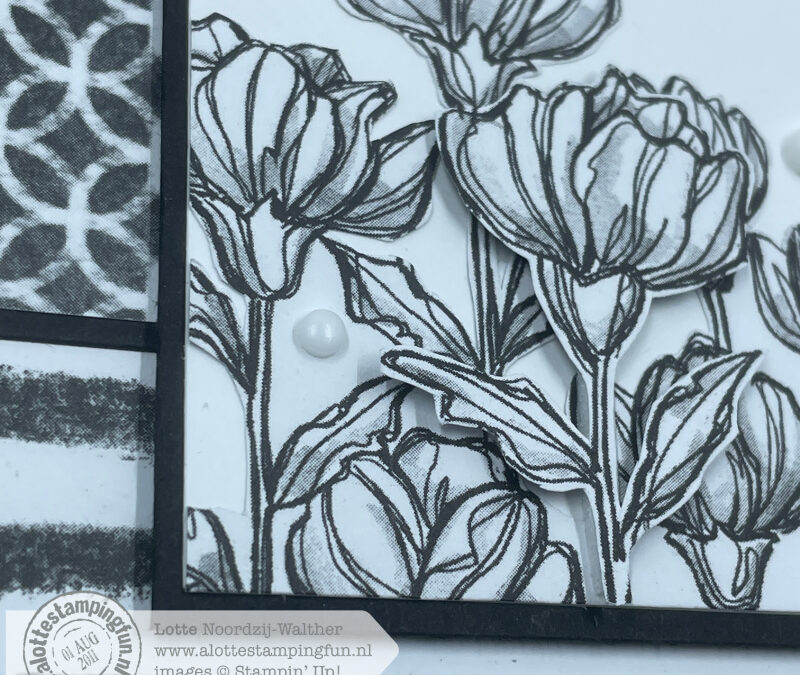Perfectly Pencilled Black & White kaart – Feel Good Stampin’ Blog Hop