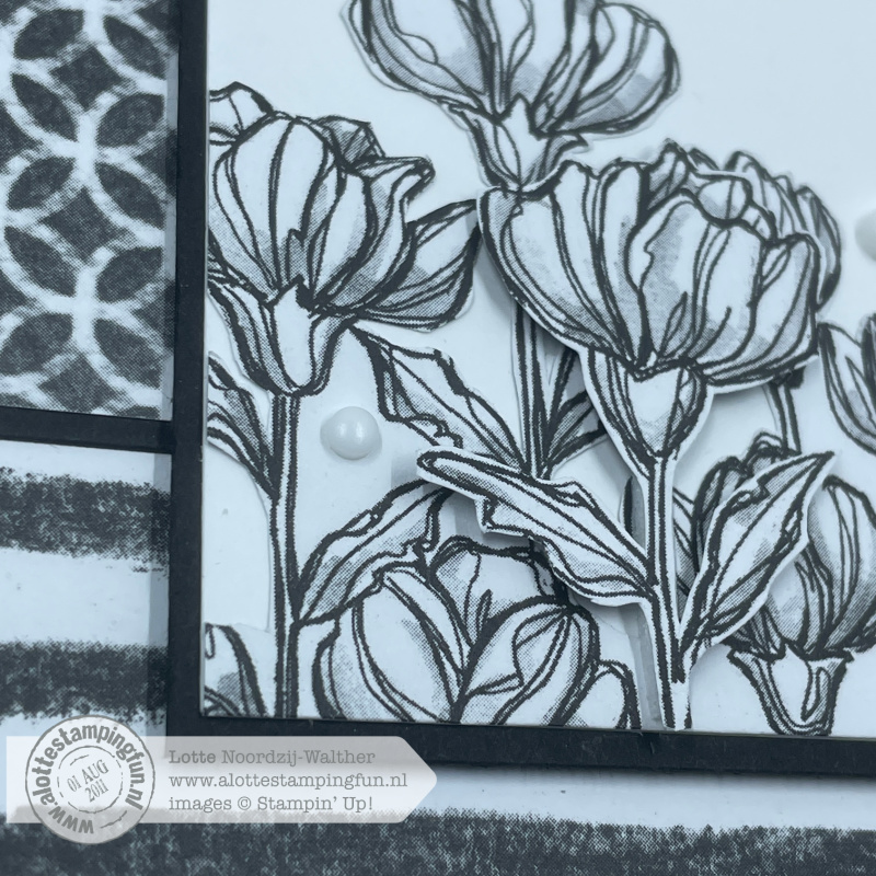 Perfectly Pencilled Black & White kaart – Feel Good Stampin’ Blog Hop