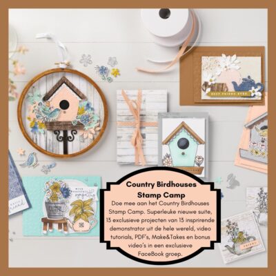 Country Birdhouses Stamp Camp